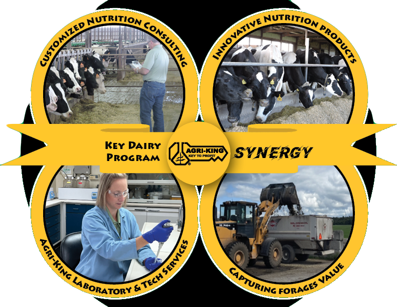 Agri-King Key Dairy Program