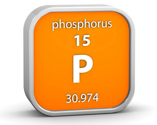 phosphorus ag source