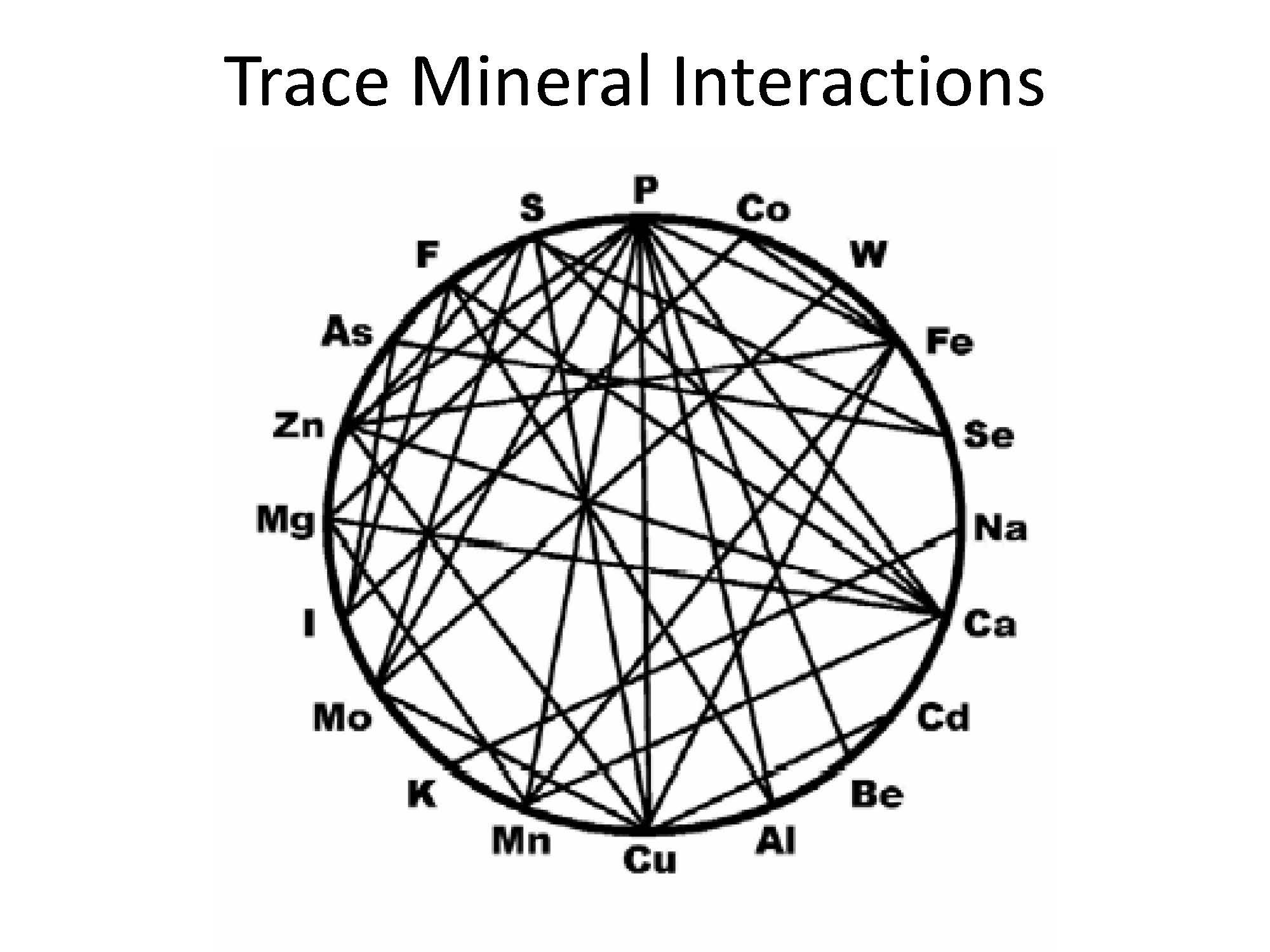Trace Mineral Interactions
