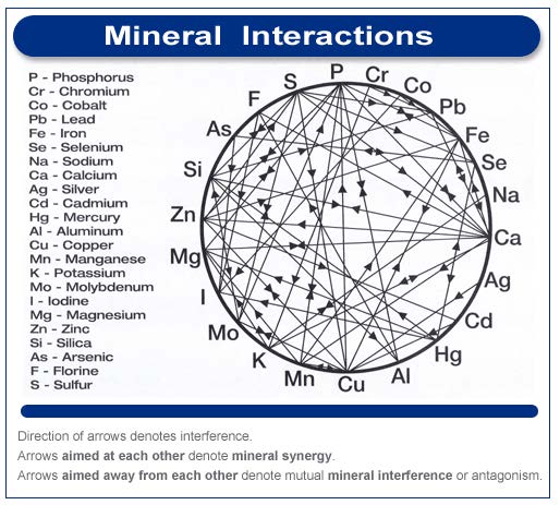 The Importance of Micro-Minerals: Manganese