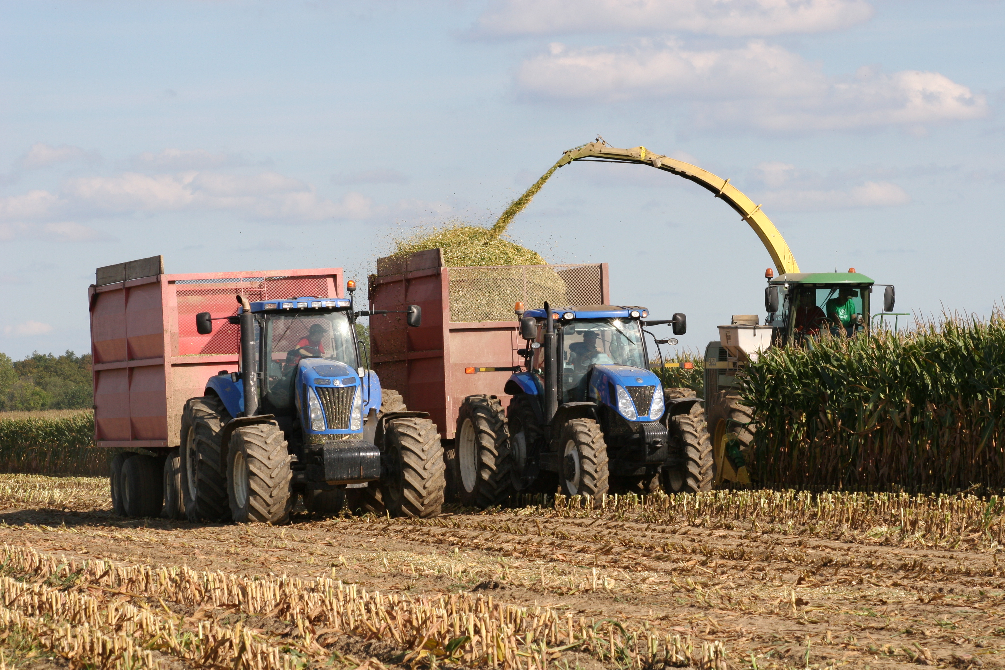 Dealing with the 2015 Corn Silage Crop