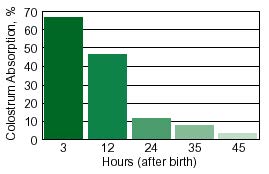 Figure 2. Effect of time of colostrum feeding on percent immunoglobulin absorption. Source: Waterman, 1998