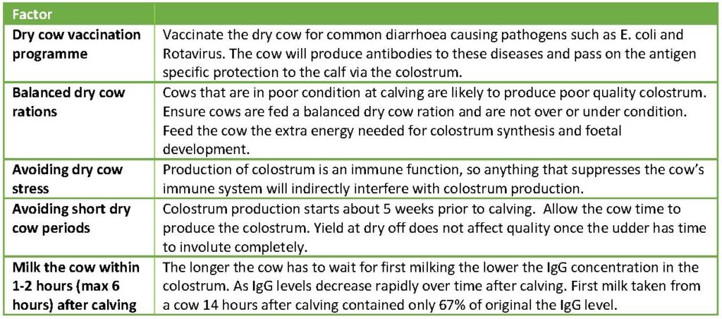 Chart listing on-farm factors that can be controlled to increase colostrum quality: dry cow vaccination programme, balanced dry cow rations, avoiding dry cow stress, avoiding short dry cow periods, milk the cow within 1-2 hours after calving.
