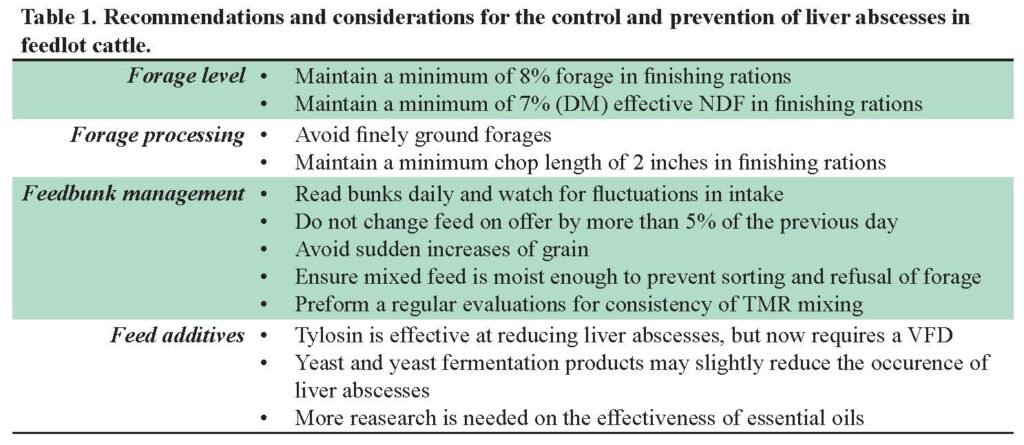 Recommendations regarding liver abscesses