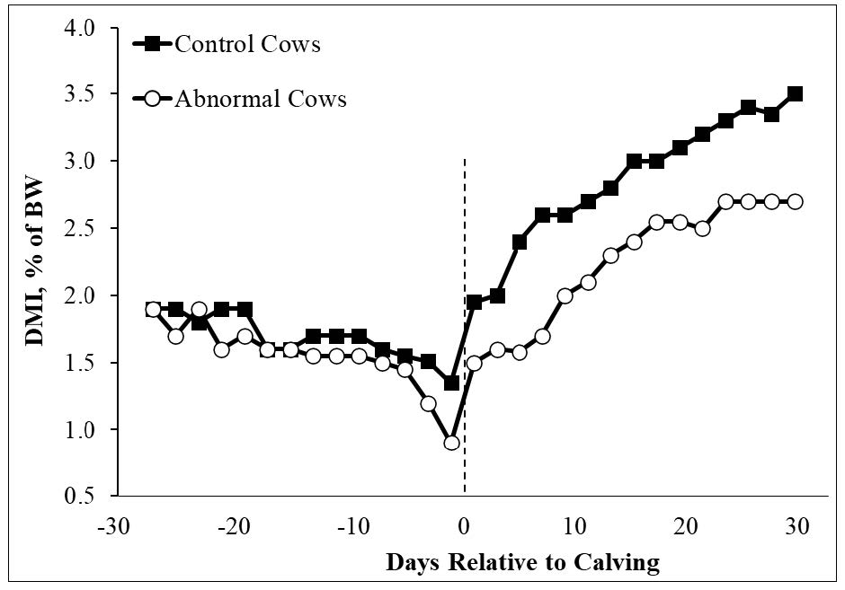 Chart showing dry matter intake of cows that did (abnormal) or did not (control) experience a postpartum complication (Zamet et al., 1979).