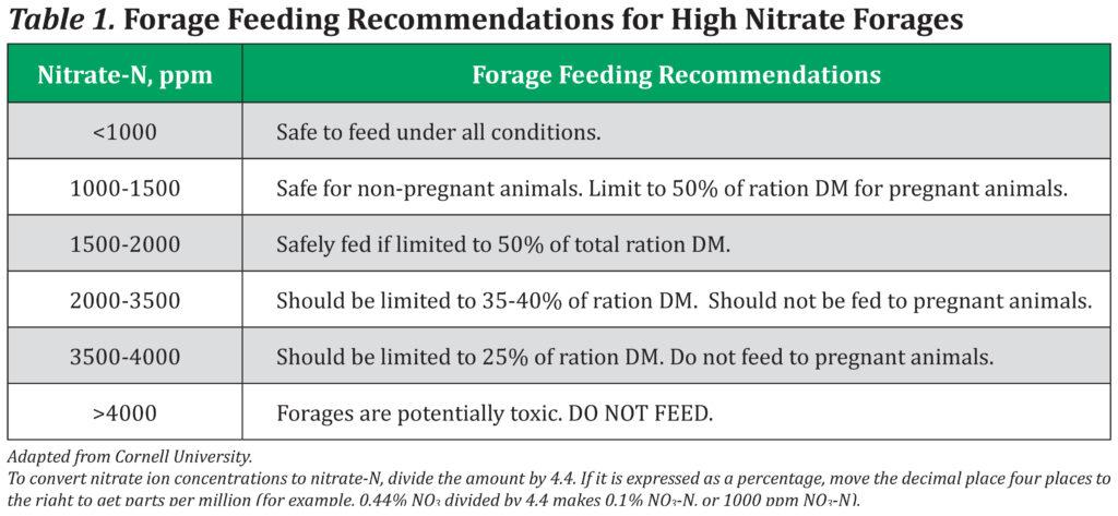 Forage feeding recommendations for high nitrate forages