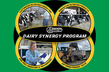 Dairy Synergy Program