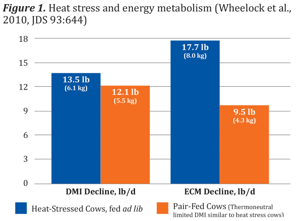 Graph showing correlation between heat stress and production declines in dairy production.