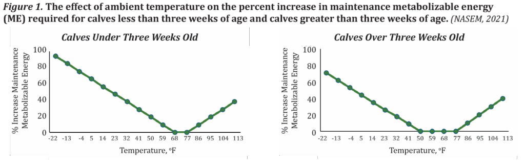 Effect of ambient temperature on the percent increase in maintenance metabolizable energy (ME) required for calves less than three weeks old and calves greater than three weeks old (NASEM, 2021)