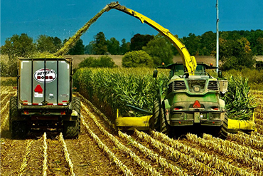 Forage and Grain Treatment